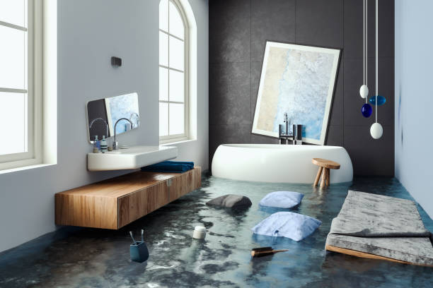 Best Sewage cleanup and water damage restoration  in Nroe City, MO