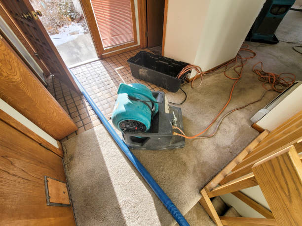 Best Residential water damage restoration  in Nroe City, MO