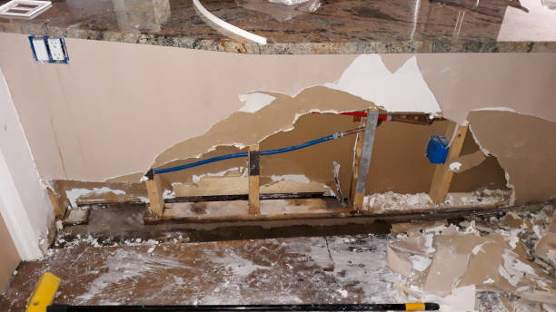 Best Water damage contractors near me  in Nroe City, MO