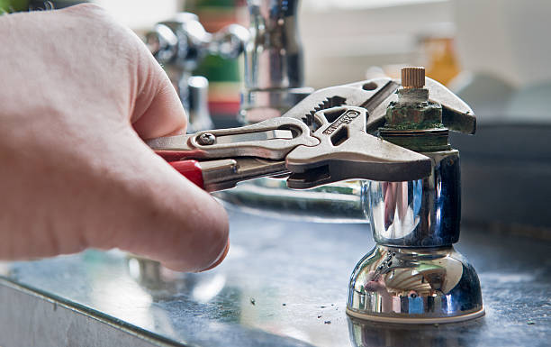 Best Mold removal after water damage  in Nroe City, MO