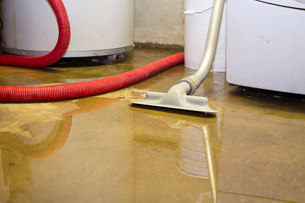 Best 24-hour water damage restoration  in Nroe City, MO