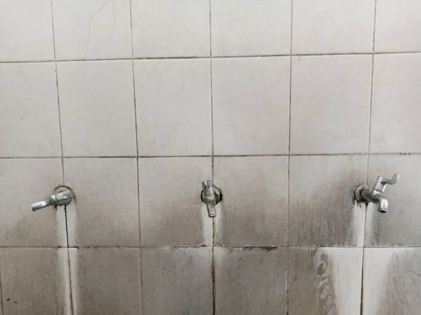 Best Water damage restoration near me  in Nroe City, MO