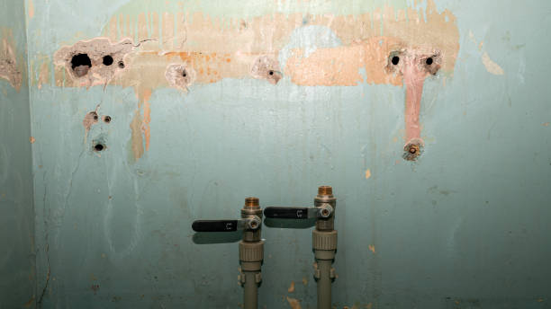 Best 24/7 water damage repair  in Nroe City, MO