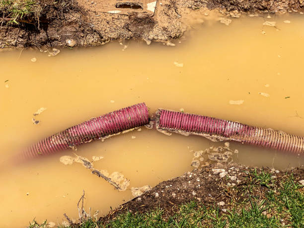 Best Emergency water damage restoration  in Nroe City, MO